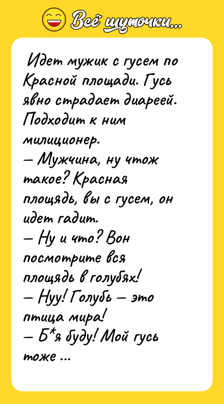  Идет мужик с гусем по Красной площади. Гусь явно