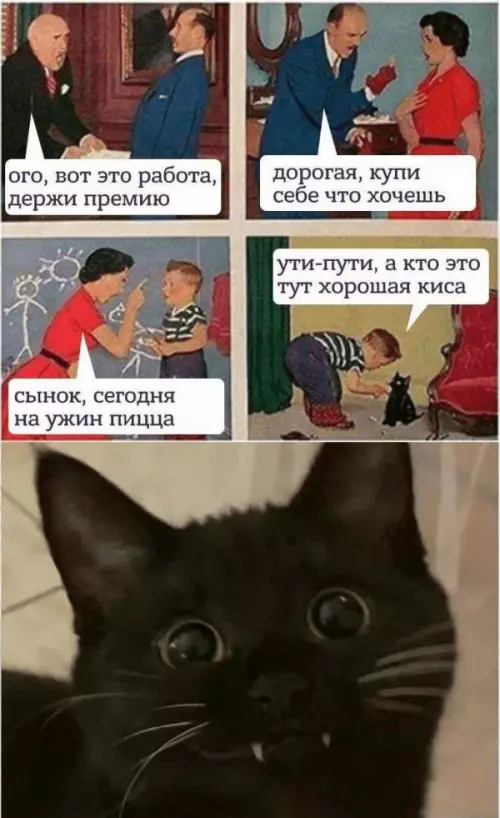 Смешная картинка №657652
