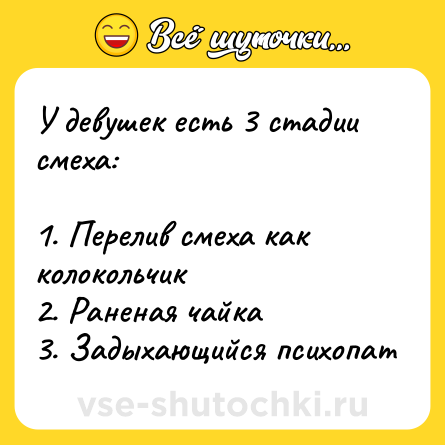Шутка: У девушек есть 3 стадии смеха:<br><br>1. Перелив смеха как колокольчик<br>2. Раненая чайка<br>3. Задыхающийся психопат