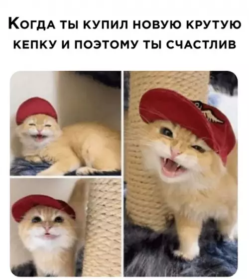 Смешная картинка №529308
