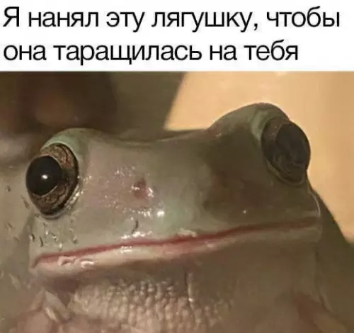 Смешная картинка №692302