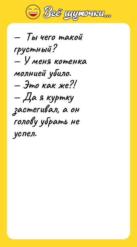 —  Ты чего такой грустный? — У меня котенка