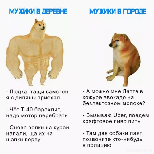 Смешная картинка №666376