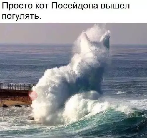 Смешная картинка №255998
