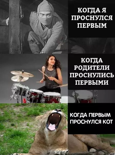 Смешная картинка №224025