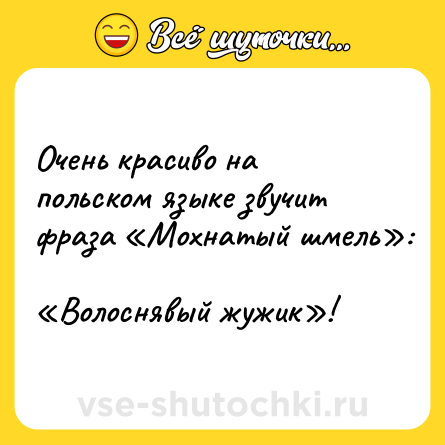 Шутка: Очень красиво на польском языке звучит фраза «Мохнатый шмель»: <br>«Волоснявый жужик»!