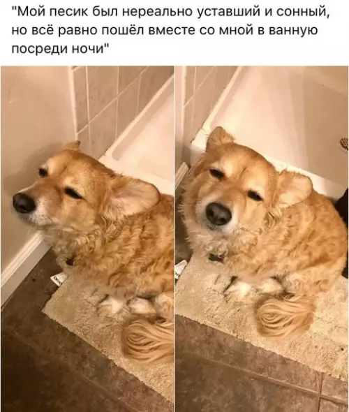 Смешная картинка №237958