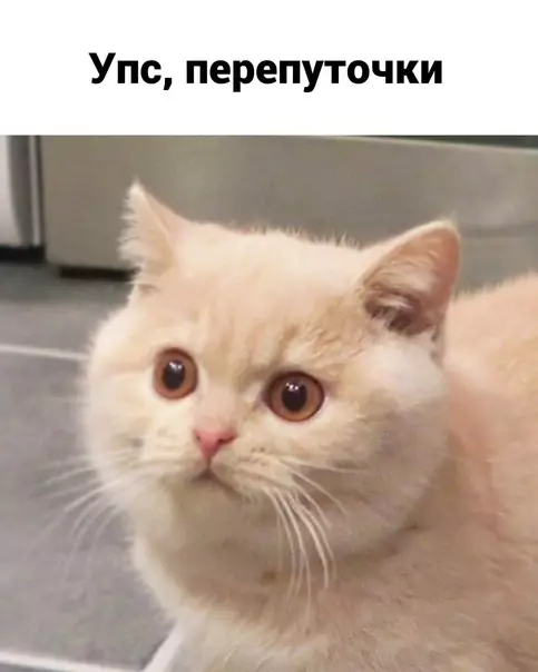 продолжение Смешная картинка №565776 Oпять вcё нe тaк