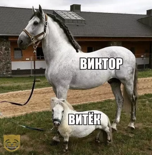Смешная картинка №356389 #приколы #картинки #мемы ?