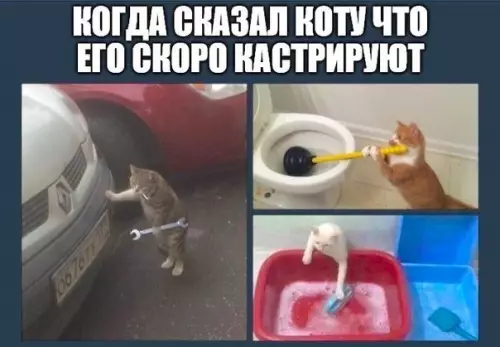 Смешная картинка №221420