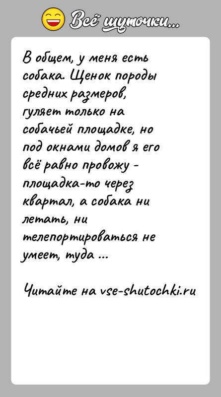 История: В общем, у меня есть собака. Щенок породы средних размеров, гуляет только на собачьей площадке, но под окнами домов я