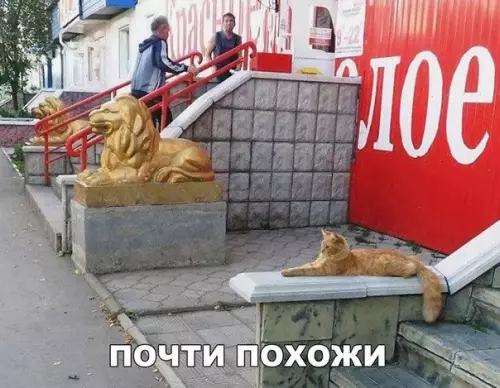 Смешная картинка №226862