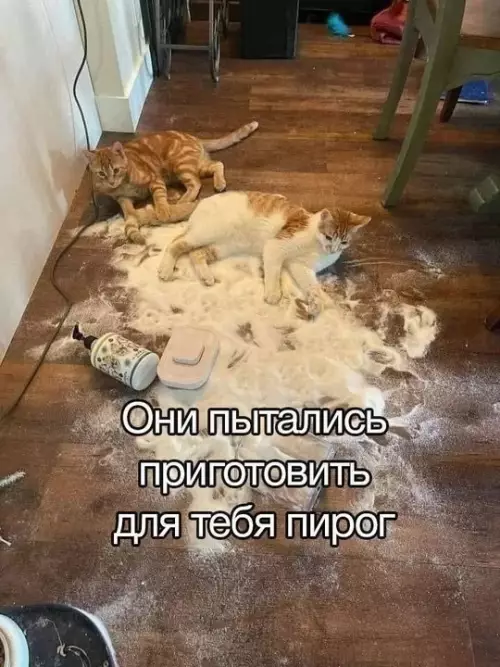 Смешная картинка №754292