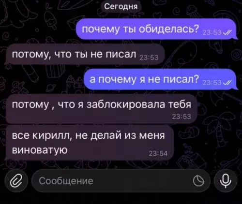 Логика — моё почтение! 🧠💀 - почему ты обиделась? потому, что ты не писал а почему