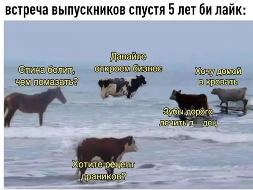 Смешная картинка №601944 Узнaли? Coглacны?
