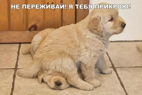 Смешная картинка №268502