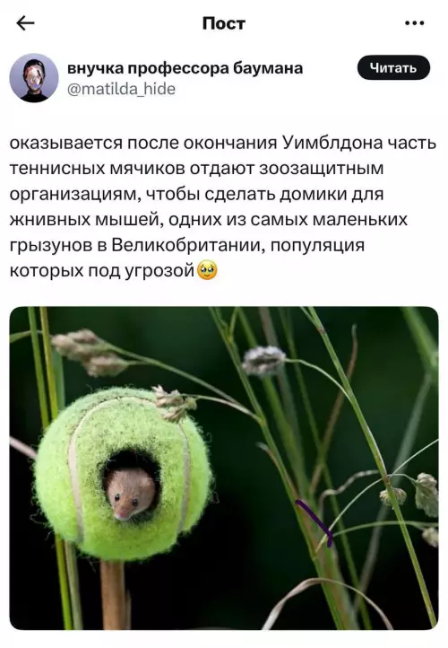 Смешная картинка №786464