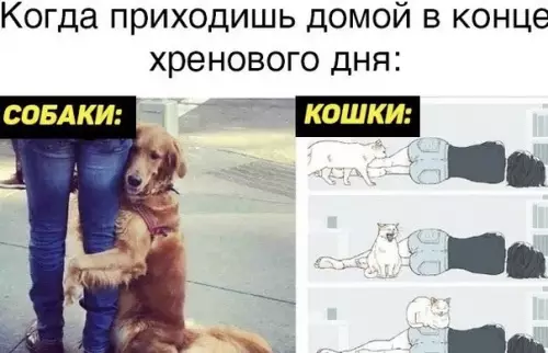 Смешная картинка №502109