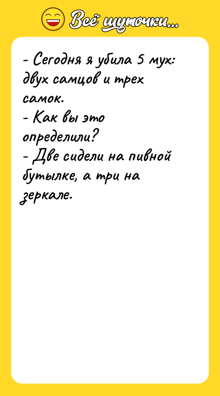 - Сегодня я убила 5 мух: двух самцов и трех