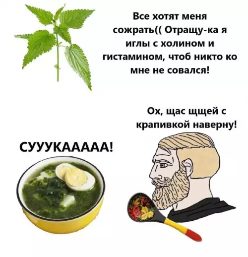 Крапива против сурового мужика 🌿 - Все хотят меня сожрать(( Отращу-ка я иглы с холином и