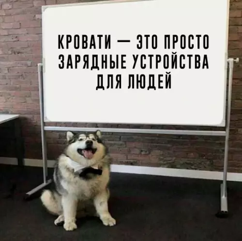 Смешная картинка №759047