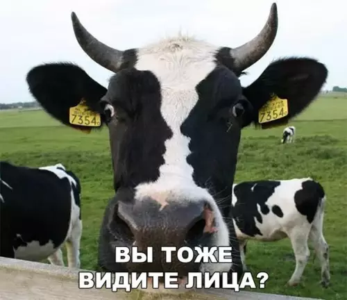 Смешная картинка №265396