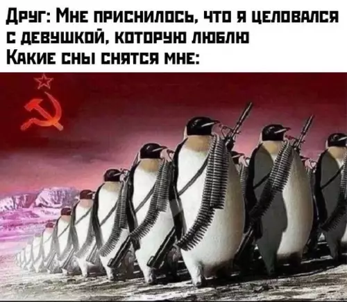 Смешная картинка №444211 Тоже хочу нормальные сны