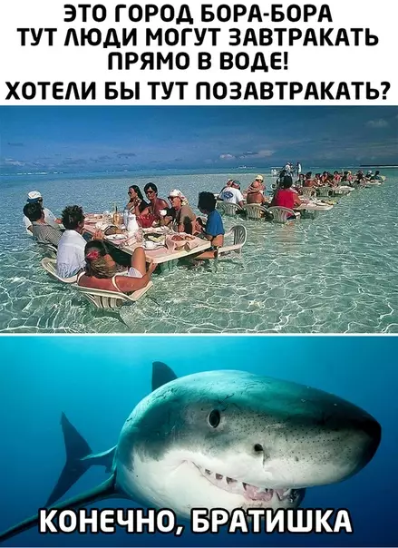 Смешная картинка №475509