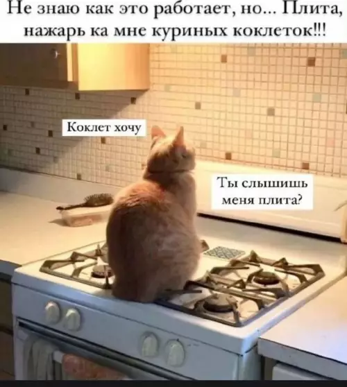 Смешная картинка №736442