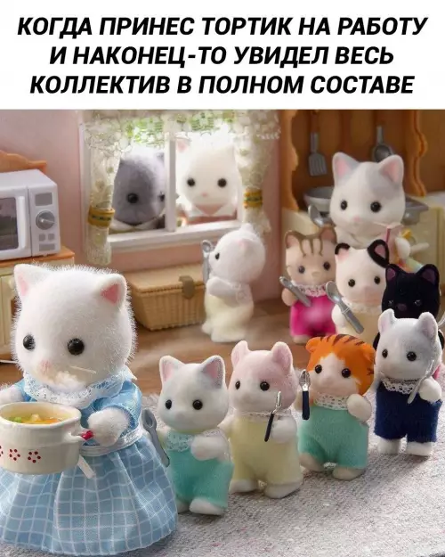 Тортик принес — все в сборе! 🍰😻 - КОГДА ПРИНЕС ТОРТИК НА РАБОТУ И НАКОНЕЦ-ТО УВИДЕЛ ВЕСЬ КОЛЛЕКТИВ