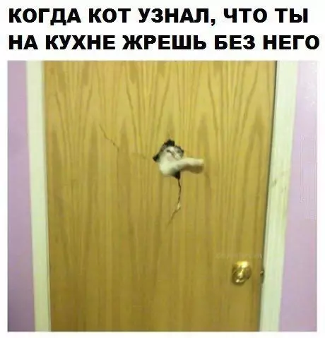 Смешная картинка №381183