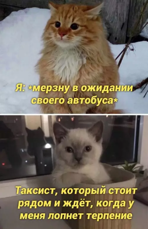 Смешная картинка №661879