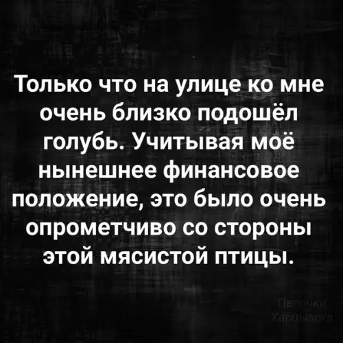 Смешная картинка №515099 Беспечная птица