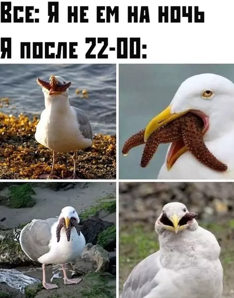 Смешная картинка №379688