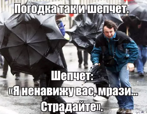 Смешная картинка №187301