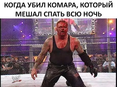 Смешная картинка №282367