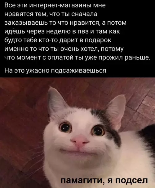 Смешная картинка №790623