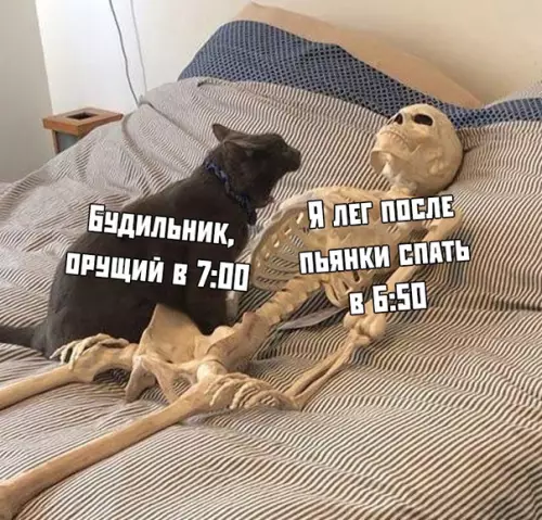 Смешная картинка №392732