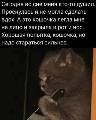 Смешная картинка №675033