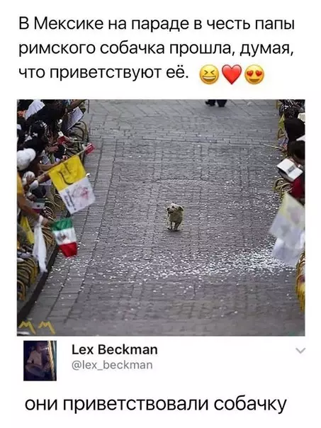 Смешная картинка №265066