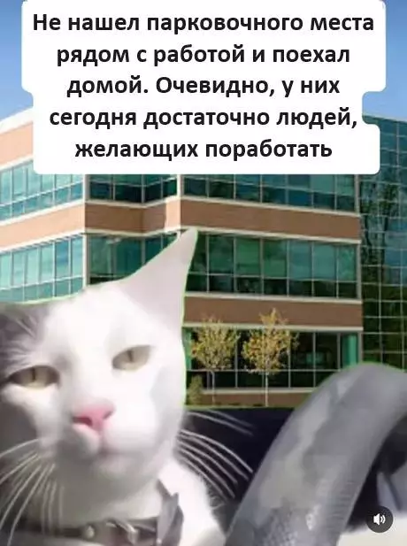 Смешная картинка №730841 Все понятно  Работа