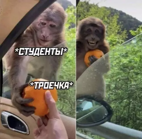 Смешная картинка №745006 Спасибо