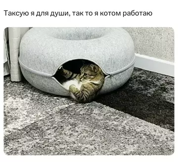 Смешная картинка №786415