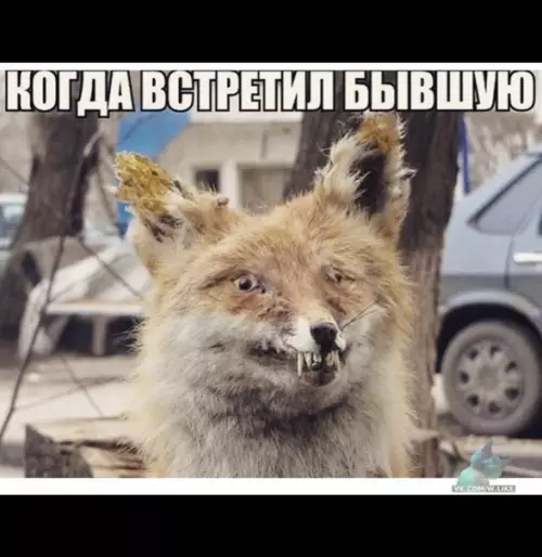 Смешная картинка №337140