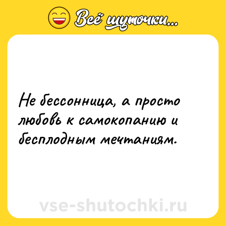 Шутка: Не бессонница, а просто любовь к самокопанию и бесплодным мечтаниям.