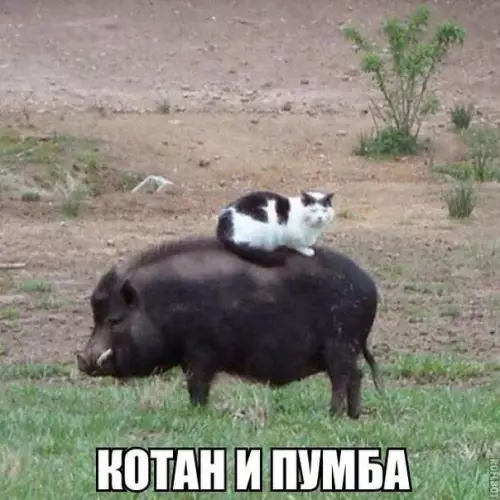 Смешная картинка №261238