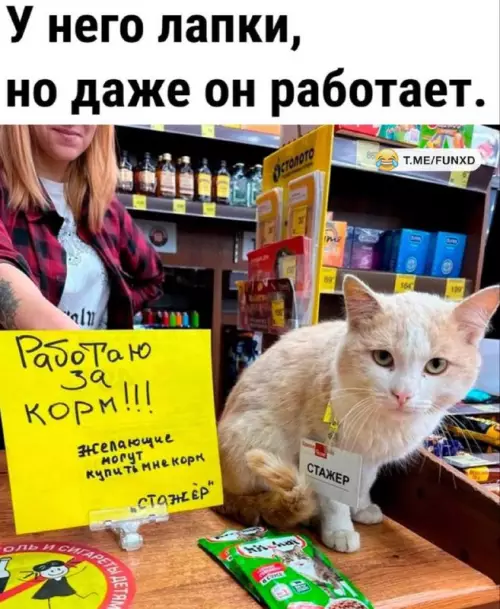 Смешная картинка №759783