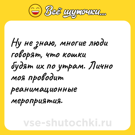 Шутка: Ну не знаю, многие люди говорят, что кошки будят их по утрам. Лично моя проводит реанимационные мероприятия.