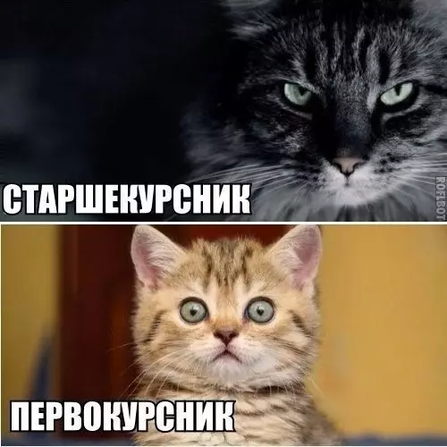 Смешная картинка №206594