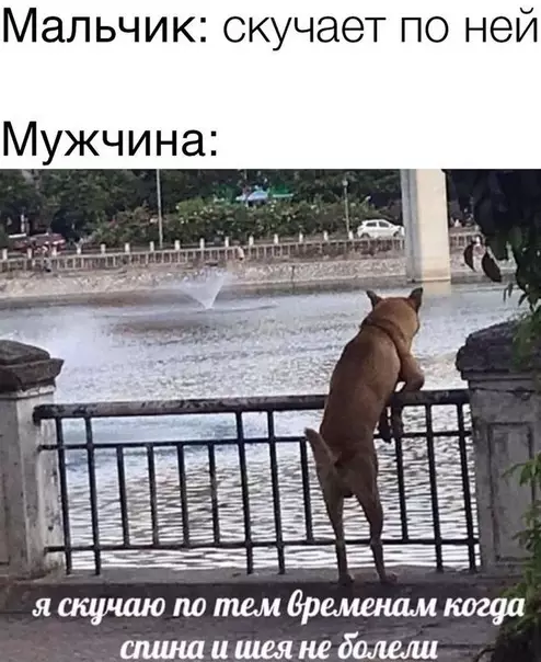 Смешная картинка №514634